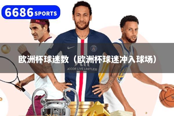 欧洲杯球迷数（欧洲杯球迷冲入球场）