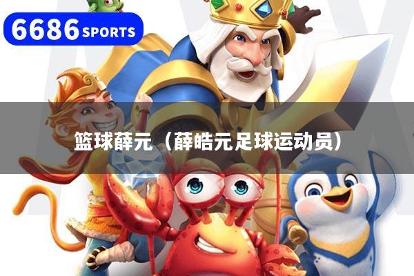 篮球薛元（薛皓元足球运动员）